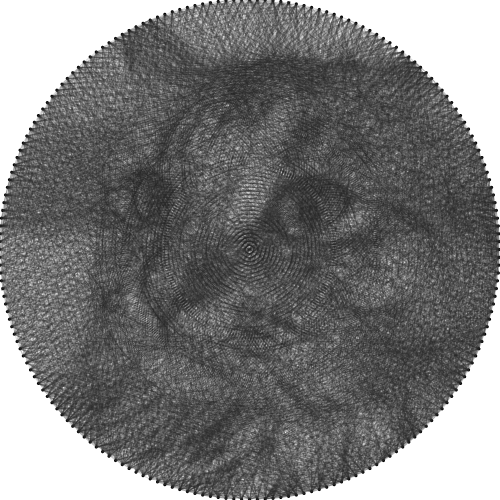 String art at 4,000 lines